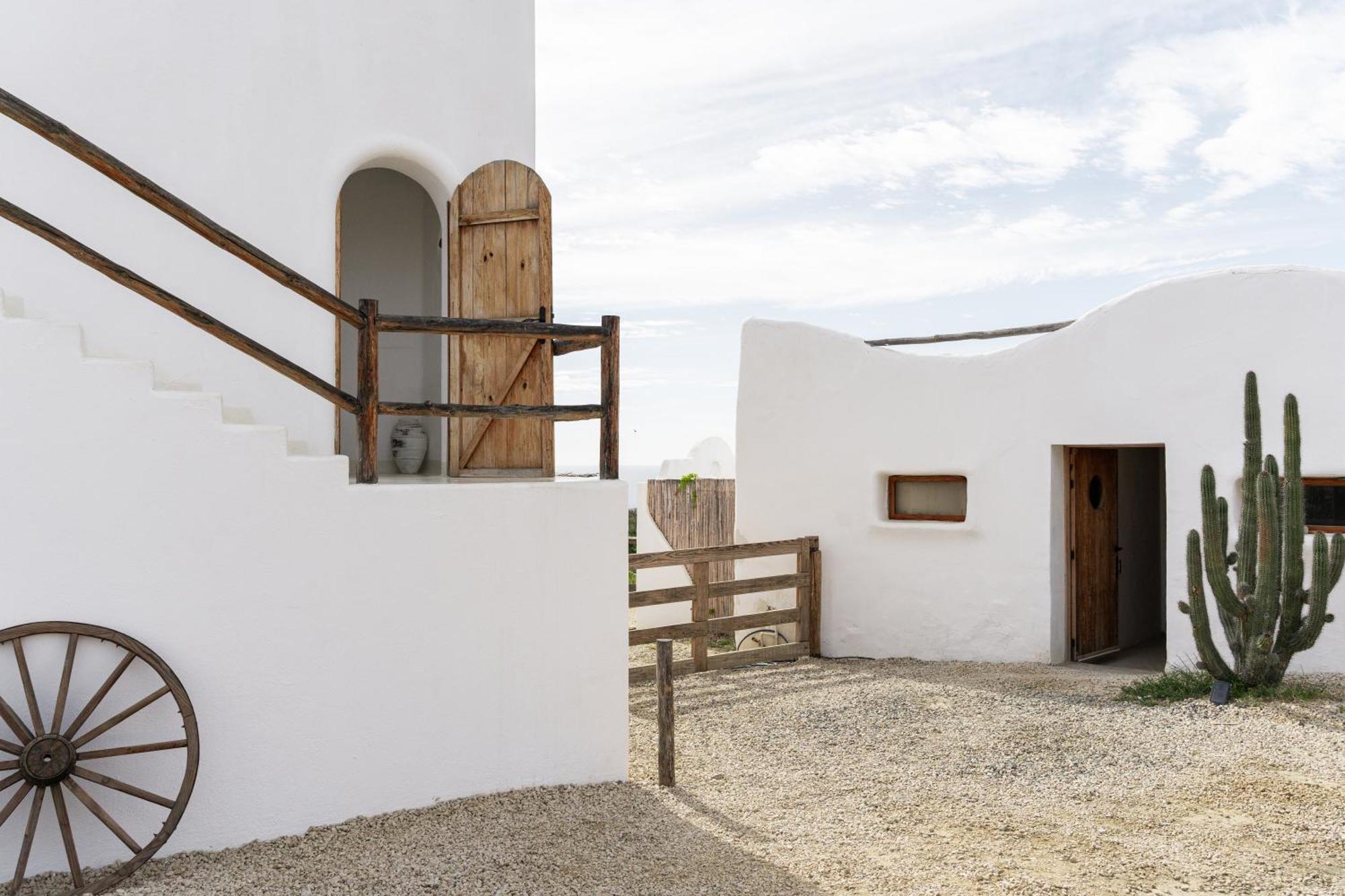 Nest Baja Hotel San Jose del Cabo Exterior photo